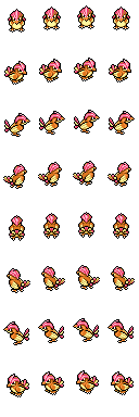 Pidgeotto